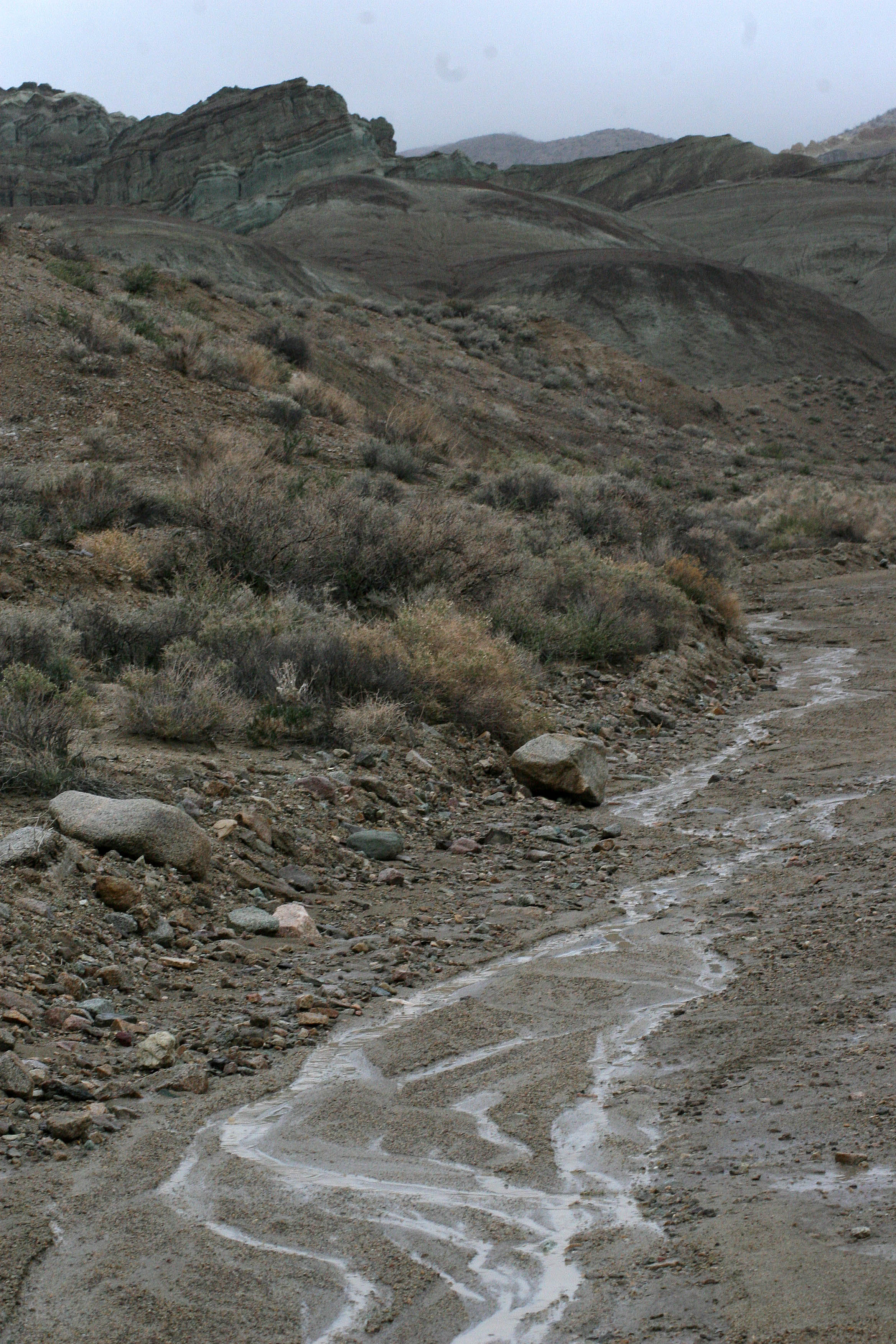Desertscape